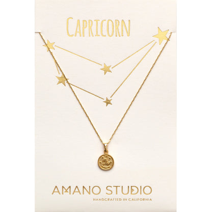 Tiny Zodiac Medallion Capricorn Necklace