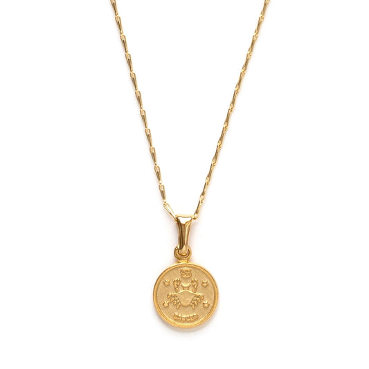 Tiny Zodiac Medallion Cancer Necklace