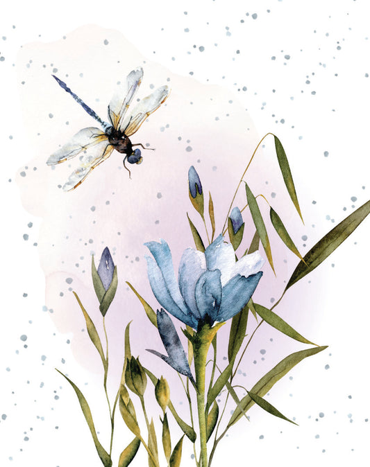 Gift Enclosure Card Tranquil And Free