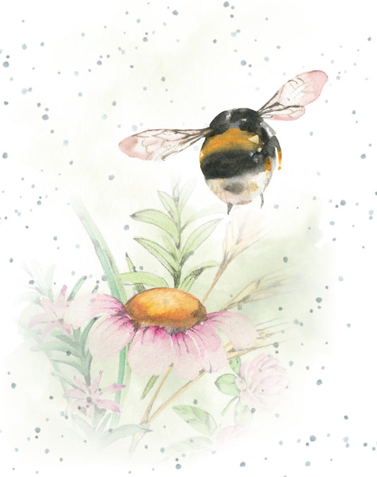 Gift Enclosure Card A Soft Landing