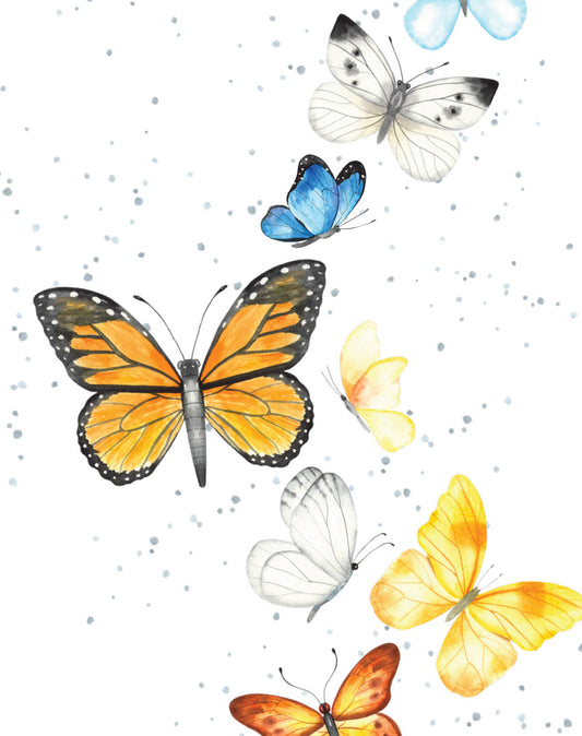 Gift Enclosure Card Dreams Take Flight
