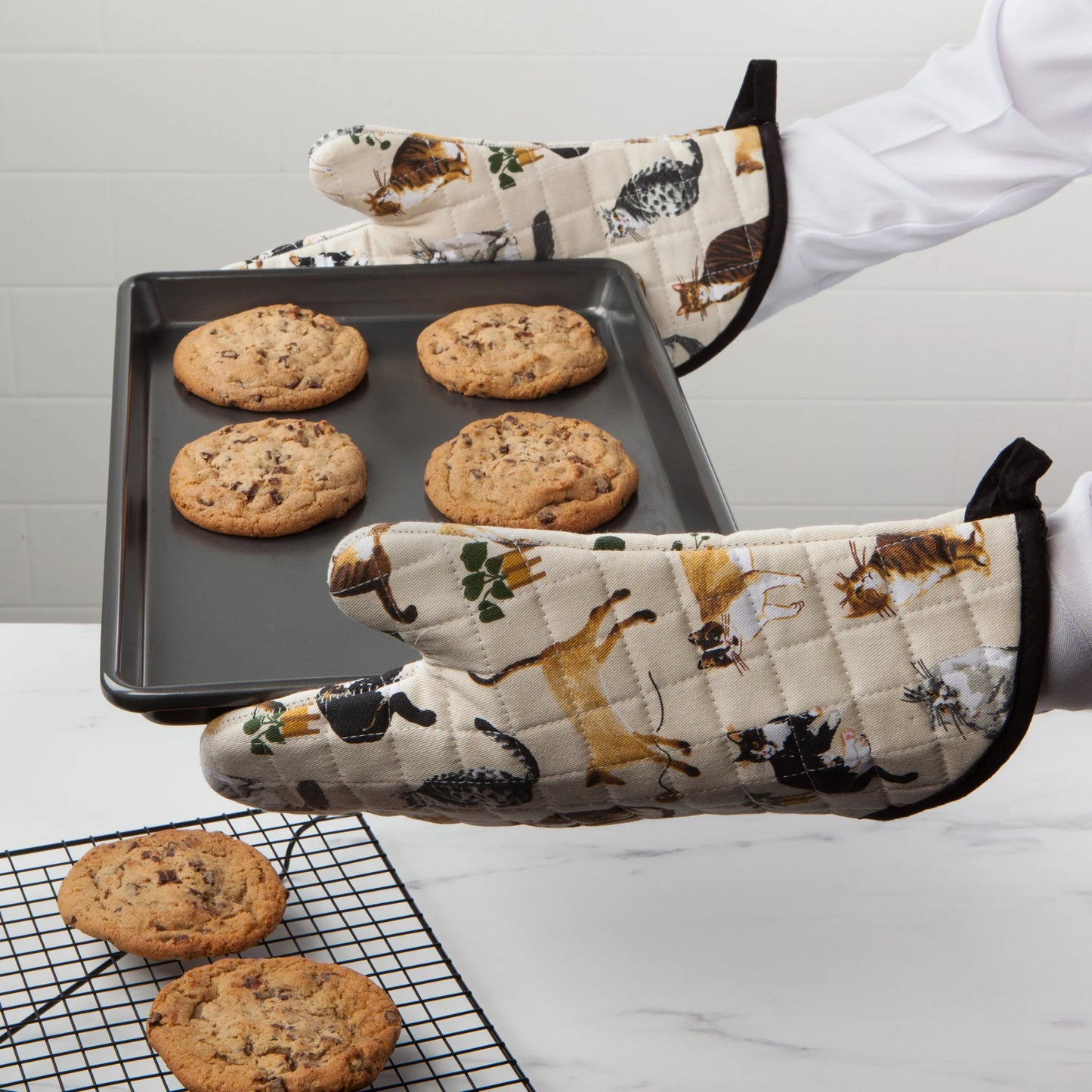 Cat Collective Chef Mitt Set of 2