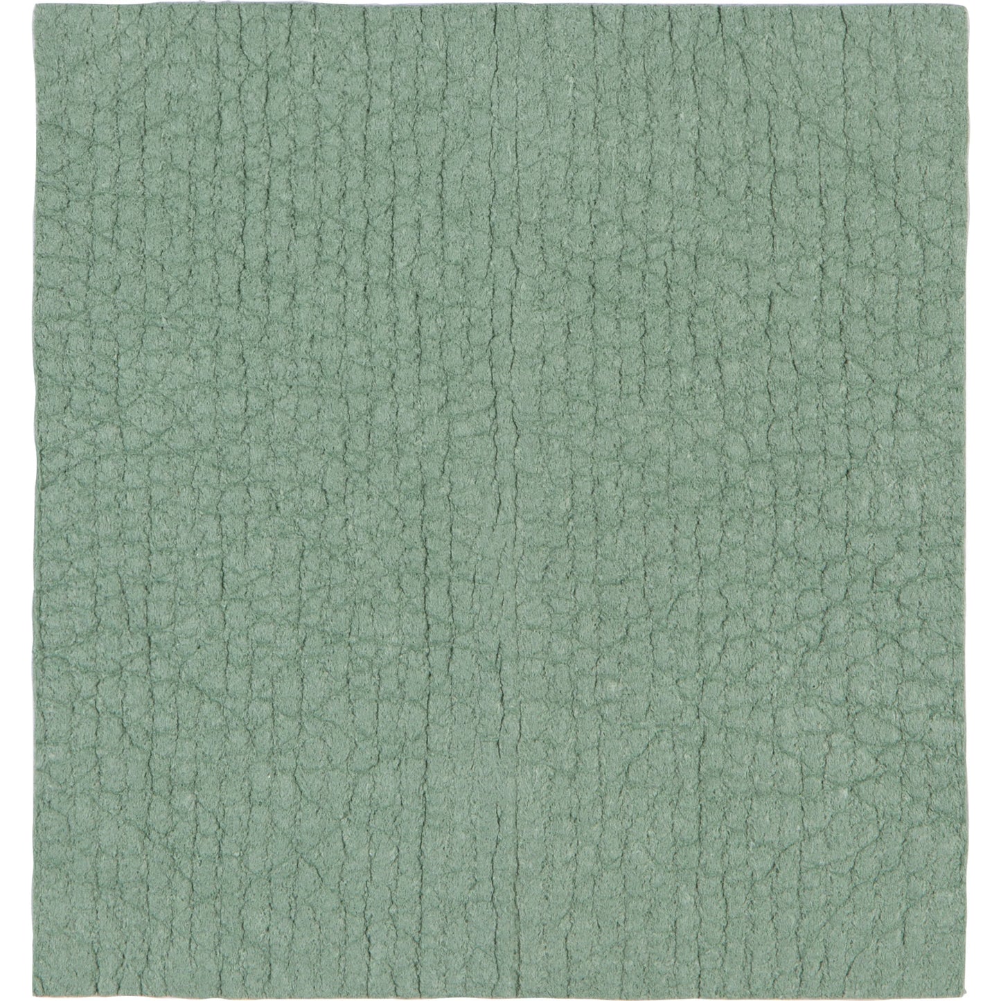 Swedish Dishcloth Elm Green Set of 2