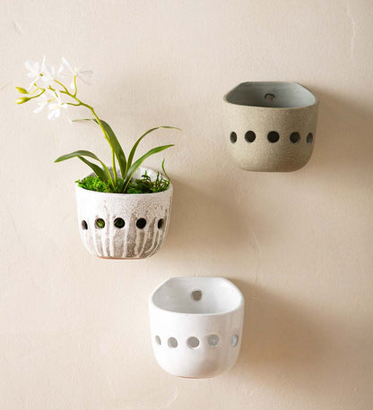 Terra-Cotta Orchid Wall Planter Distress