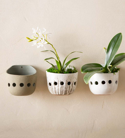 Terra-Cotta Orchid Wall Planter Distress