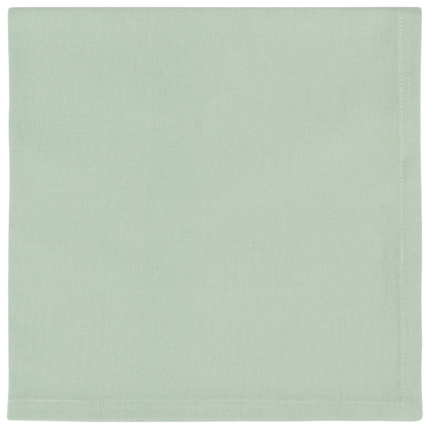 Spectrum Aloe Napkin Set of 4