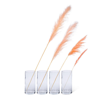 Small Pampas Grass