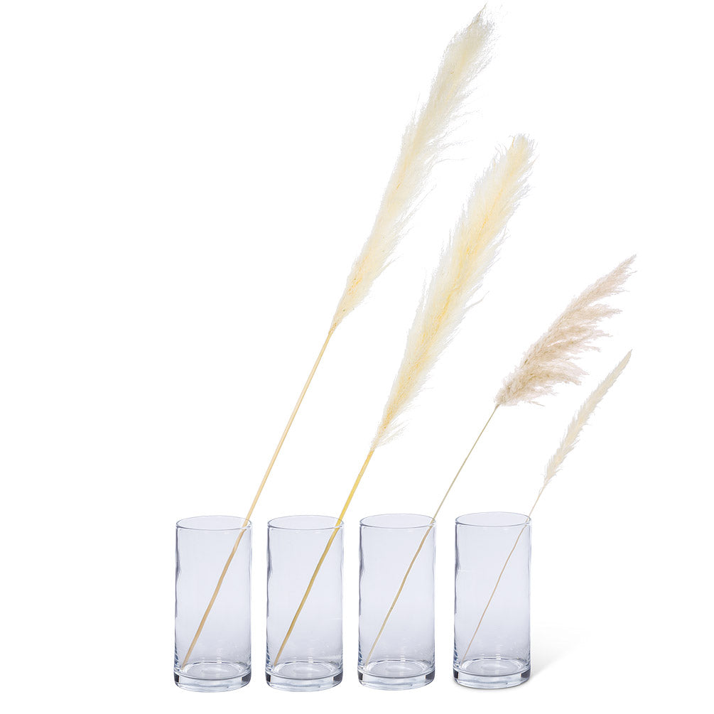 Small Pampas Grass