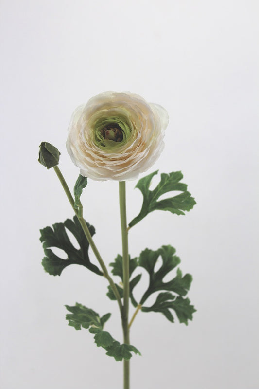 27" Ranunculus White Flower