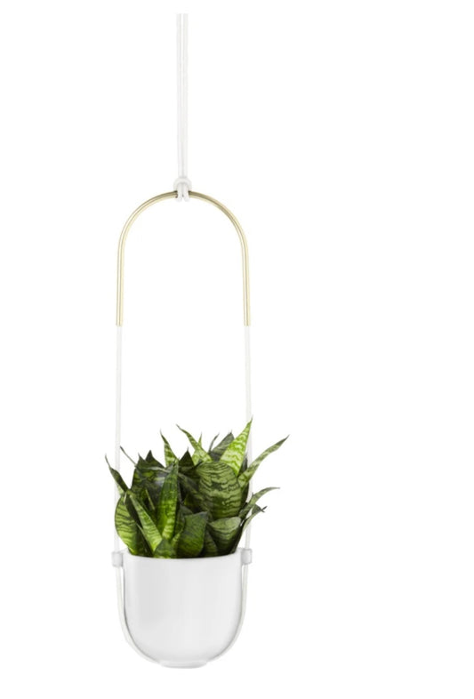 White Bolo Hanging Planter