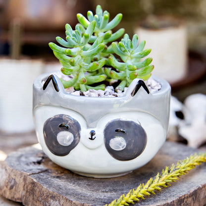 Raccoon Planter