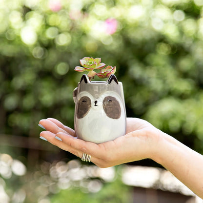 Raccoon Planter Pot