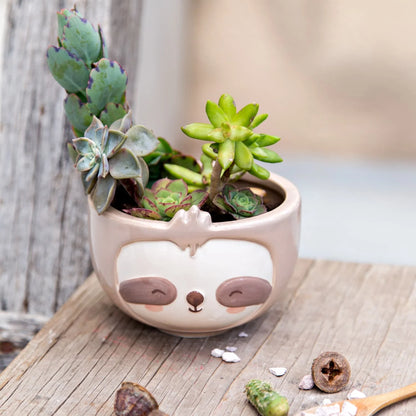 Sloth Planter