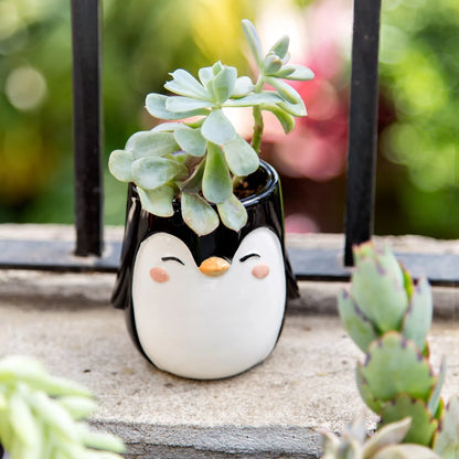 Penguin Planter Pot