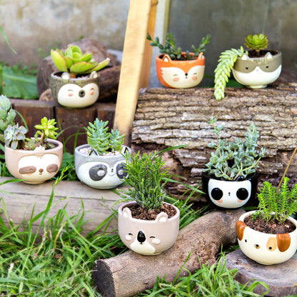 Sloth Planter
