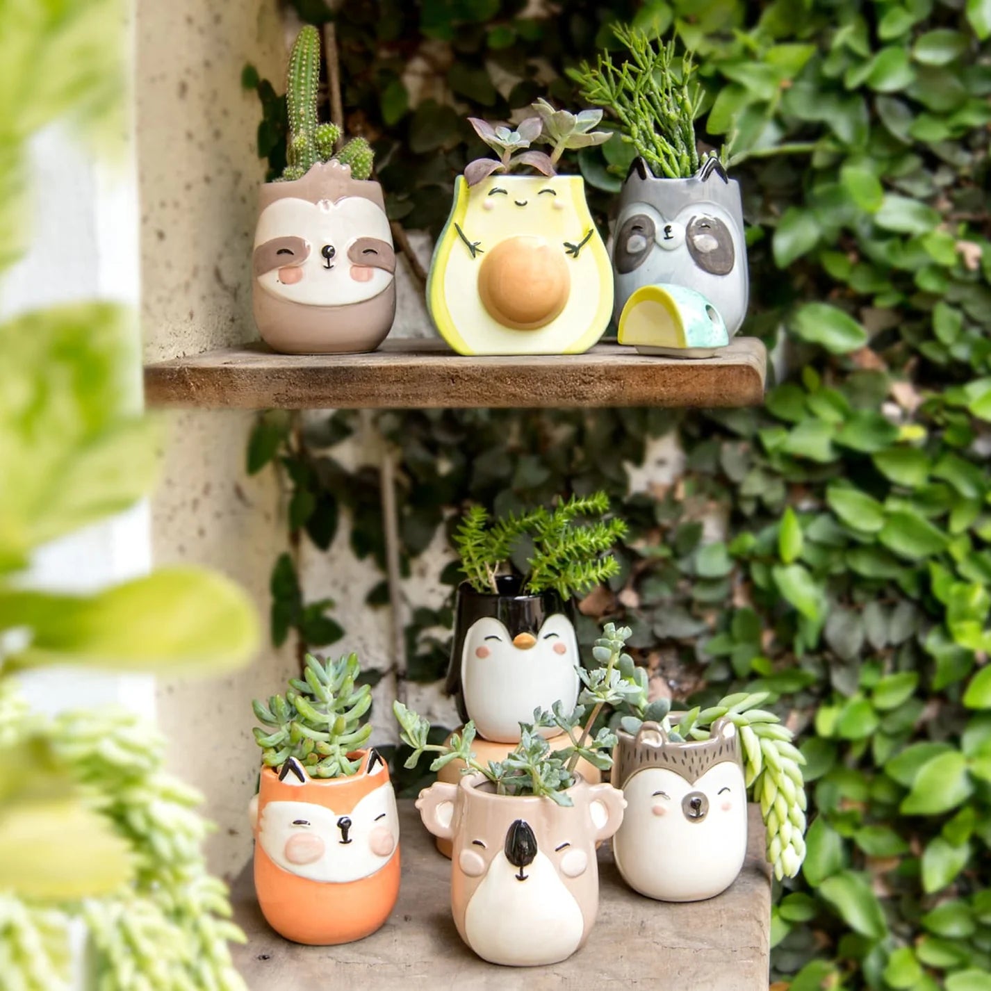 Koala Planter Pot