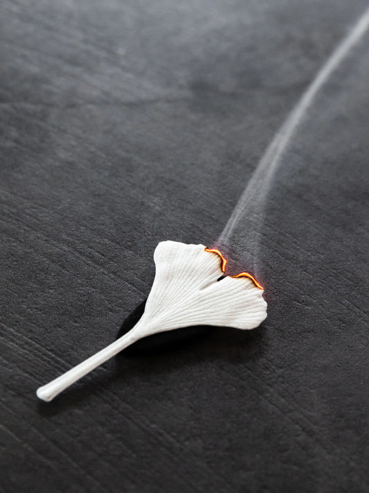Autumn Fennel Ha Ko Paper Incense