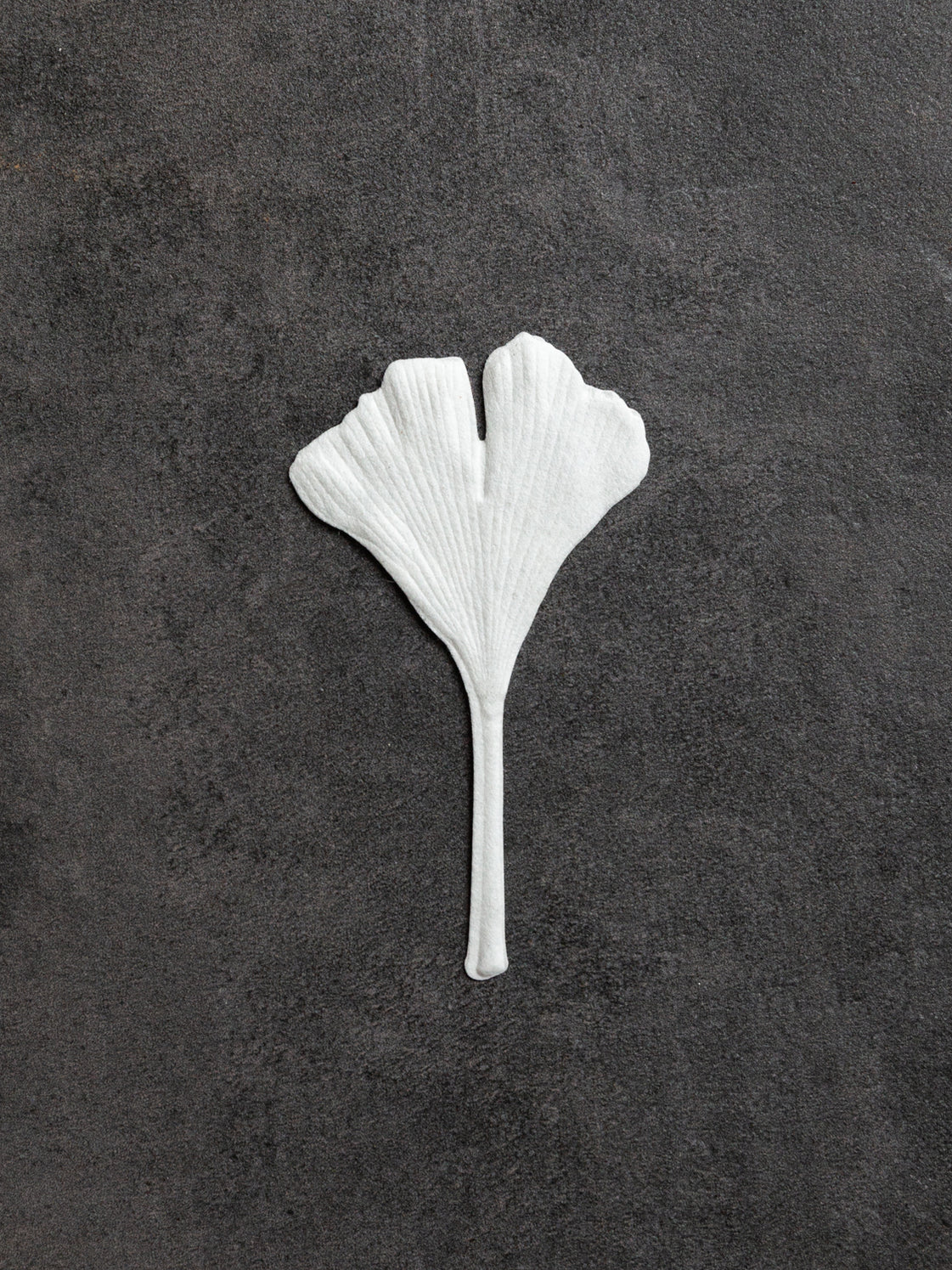 Autumn Fennel Ha Ko Paper Incense