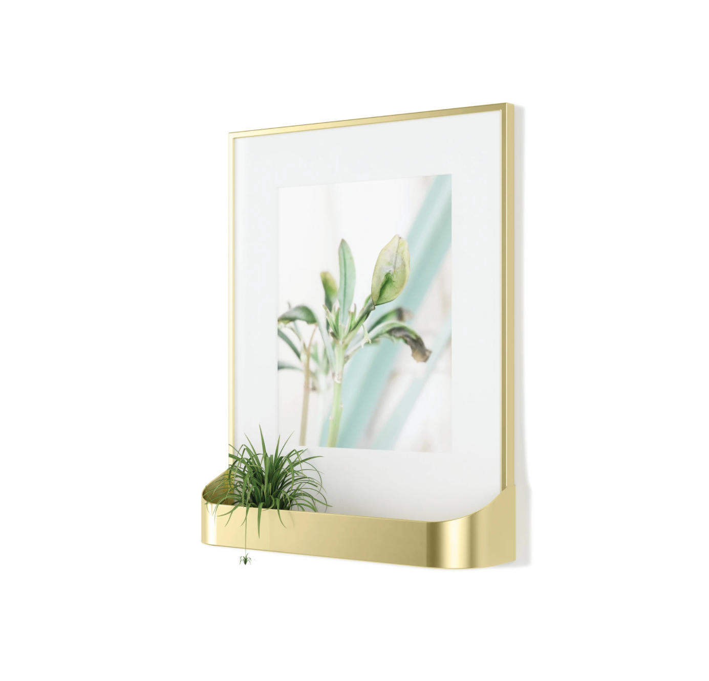 Matinee Photo Frame
