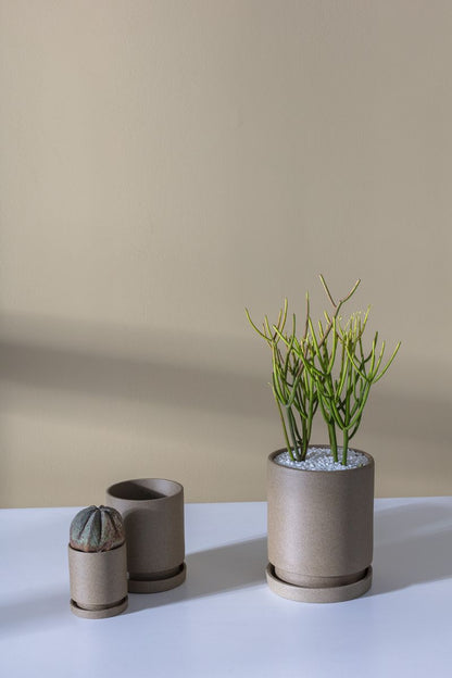Imogen Planter
