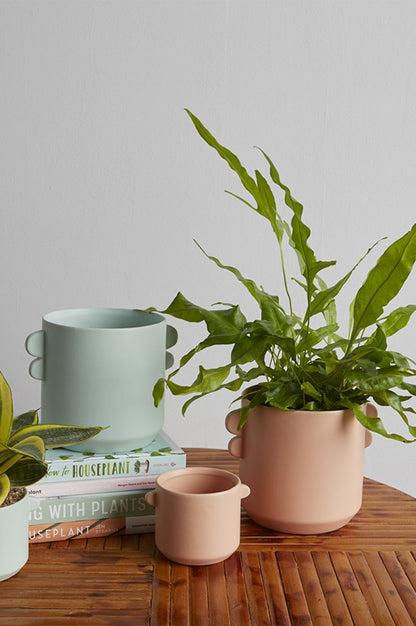 Jamye Planter