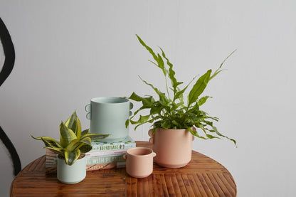 Jamye Planter