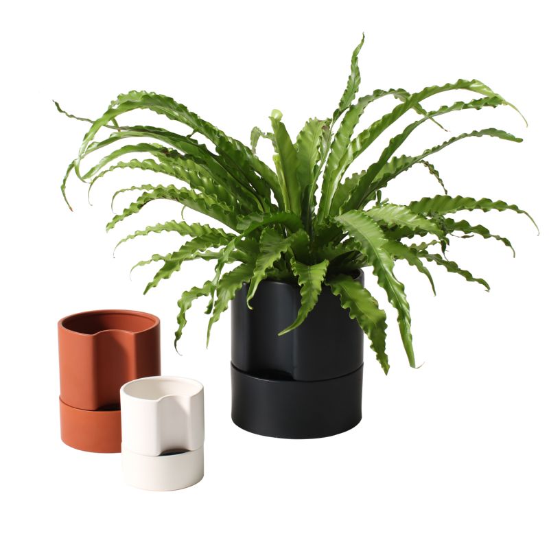 Jett Planter White