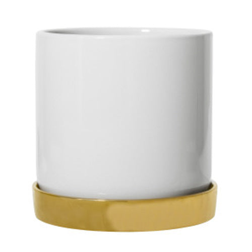 White Planter with Gold Saucer